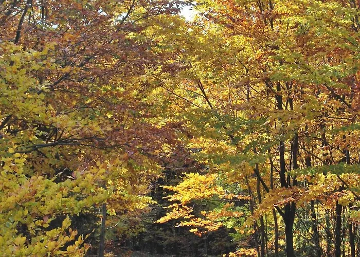 Apartment Jaegerwohnung Im Forsthaus Am Schindelbruch *